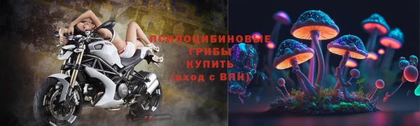 прущий лед Армянск
