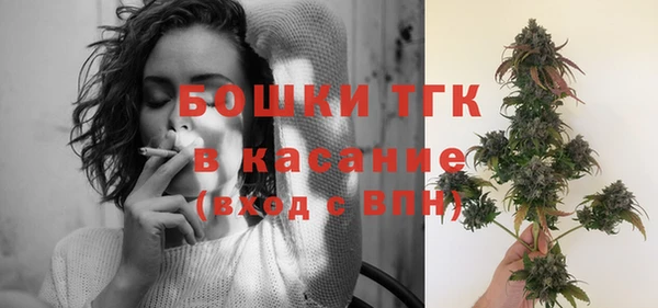 гашик Аркадак