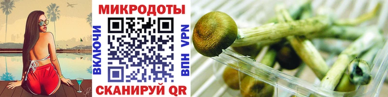 Галлюциногенные грибы MAGIC MUSHROOMS  Чудово 